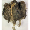 Quail Whole Pray dehydrated for Bird Dog Training or Falconry