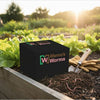 Living Material + Red Wiggler Composting Worms Eisenia andrei