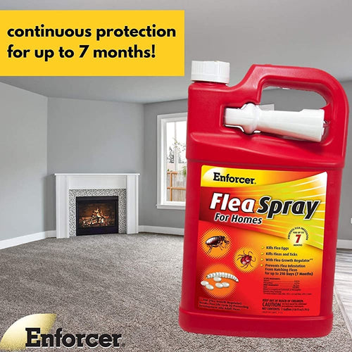 Enforcer Flea Tick Killer Spray 1 Gallon Home Carpets Kills Eggs Larvae Adults