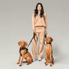 3-in-1 City Dog Leash - Rockstar