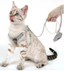 Puppy dog leash
