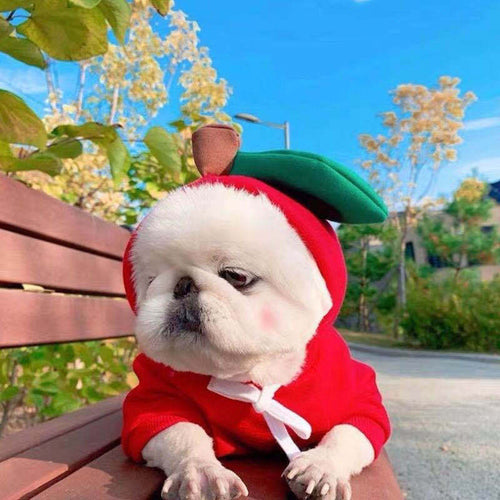 Two-legged Hooded Dog Clothes