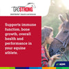 ADM Grostrong Horse Feed Vitamin & Mineral Nutrition 25 lbs.
