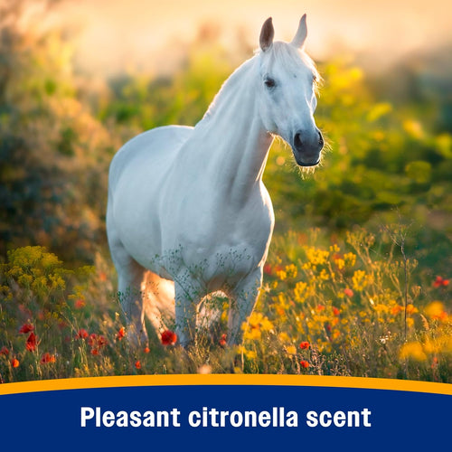 Farnam Bronco Equine Fly Spray Plus Citronella Repellent 32 oz. for Horses & Dogs