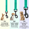 Biothane Waterproof Dog Leash, 4 ft