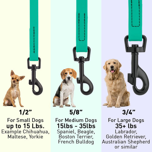 Biothane Waterproof Dog Leash, 4 ft