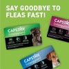 Capstar Flea Tablets Oral Treatment for Dogs 25.1-125 lb 6 Doses Fast Acting