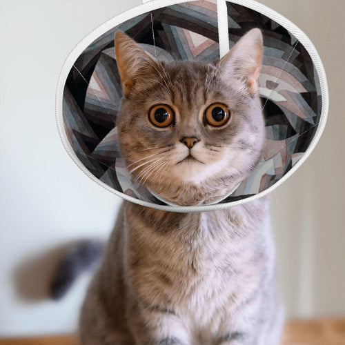 Sebastian & Clementine Crystal Gradation Pet Elizabethan Collar