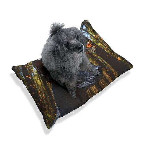 Xoloitzcuintli Pet Bed