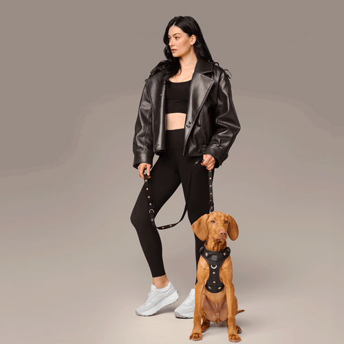 The NoMad Adjustable Luxe Harness - Rockstar
