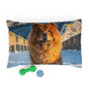 Chow Chow Pet Bed
