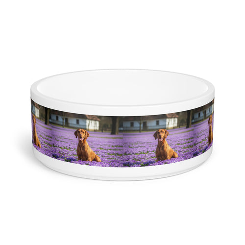 Ceramic Pet Bowl – 16 oz Dog Feeding Bowl