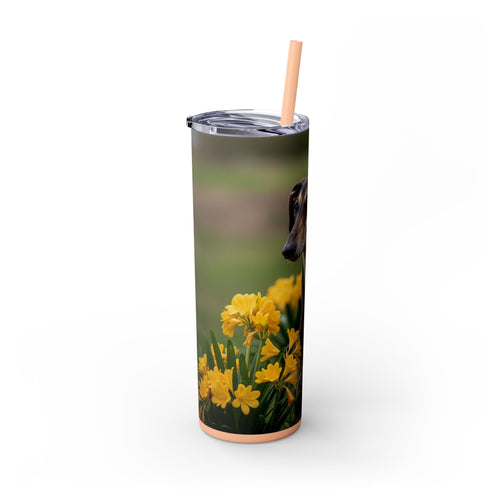 Skinny Tumbler with Straw – 20 oz Stainless Steel Cup