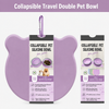 Collapsible Travel Double Pet Bowl