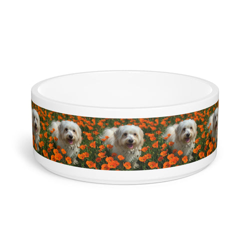 Ceramic Pet Bowl – 16 oz Dog Feeding Bowl