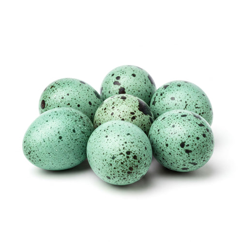 Celadon Coturnix Hatching Eggs