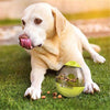 Dog Food Leaking Ball Toy