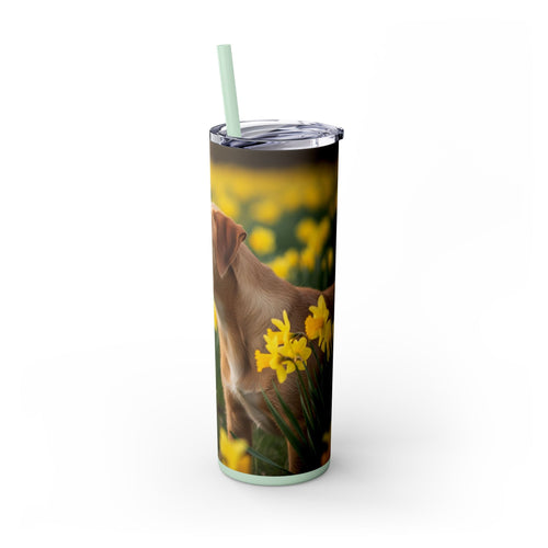 Skinny Tumbler with Straw – 20 oz Stainless Steel Cup