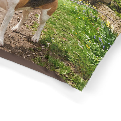 Beagle Pet Bed