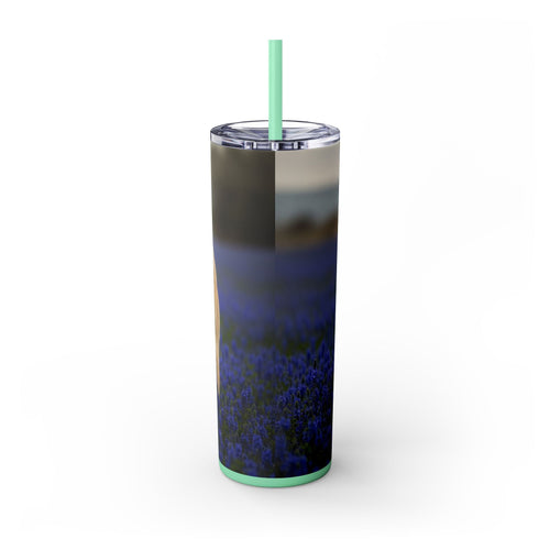 Skinny Tumbler with Straw – 20 oz Stainless Steel Cup