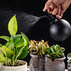 304 Stainless Steel Watering Sprayer Spherical Sprinkling Can 500ML