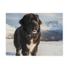 Newfoundland Blanket