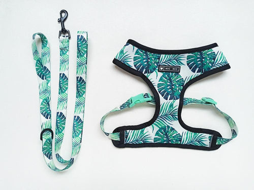 Adjustable Dog Harness and Leash Set