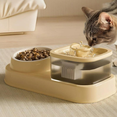 2-in-1 Cat Water Dispenser And Feeding Bowl