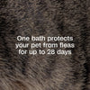 Adams Plus Flea & Tick Shampoo with Precor IGR for Dogs & Cats 12 oz.