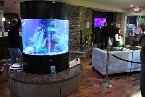 280g GLASS Cylinder Reef-Ready 48x48x36H in Abyss Black Display Model
