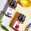 10ML Aromatherapy Water Soluble Essential Oil Plant Diffuse