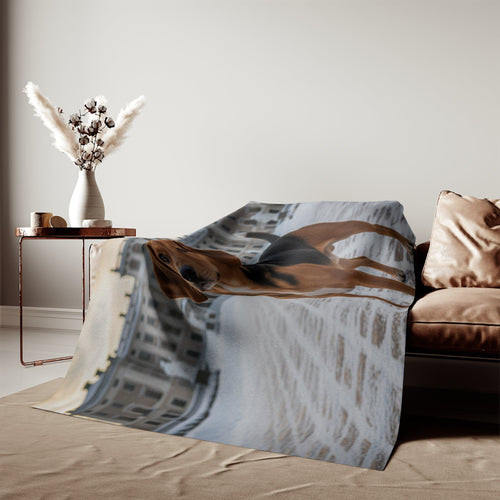 Drever Blanket