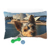 Australian Silky Terrier Pet Bed