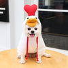 Two-legged Hooded Dog Clothes