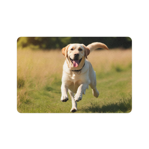 Non-Slip Pet Food Mat – Waterproof Feeding Mat for Dogs