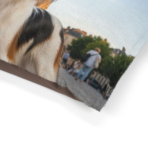 Phalène Pet Bed