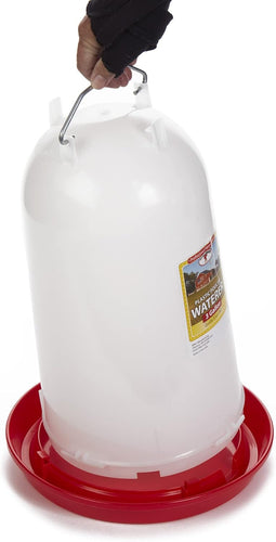 Little Giant 3 Gallon Poultry Drinker 2-Pack Gravity Fed Chicken Waterer Red Base