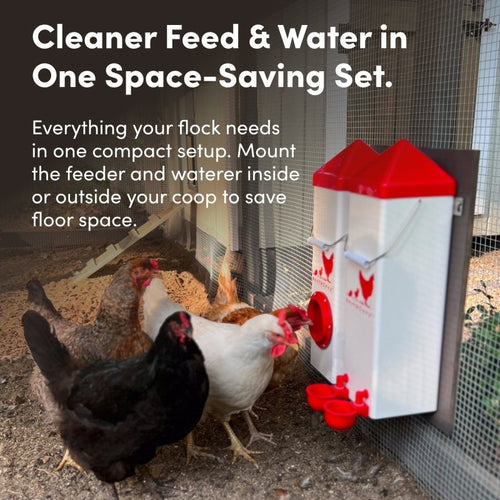 RentACoop Highrise Chicken Waterer and Feeder Set - 10lbs/2 Gal
