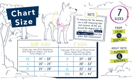 Adopt Me Freedom No-Pull Dog Harness – EarthStyle