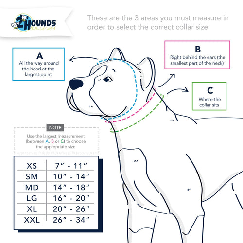 5/8″ and 1″ Turquoise Nylon Dog Collar