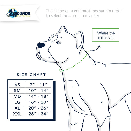 1″ Rust Nylon Dog Collar