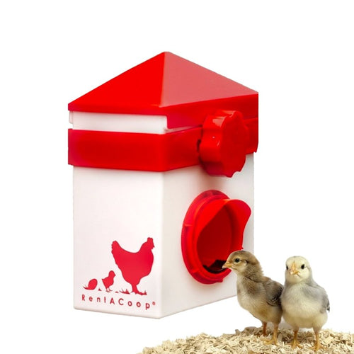 RentACoop Chick2Chicken 2.5lb BPA-Free Single-Port Feeder