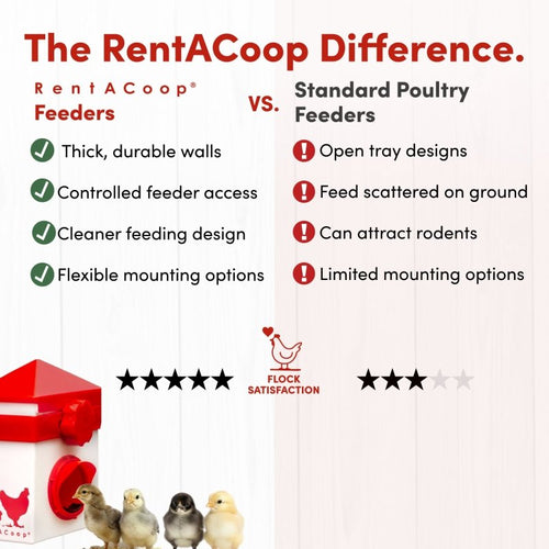 RentACoop Chick2Chicken 2.5lb BPA-Free Single-Port Feeder