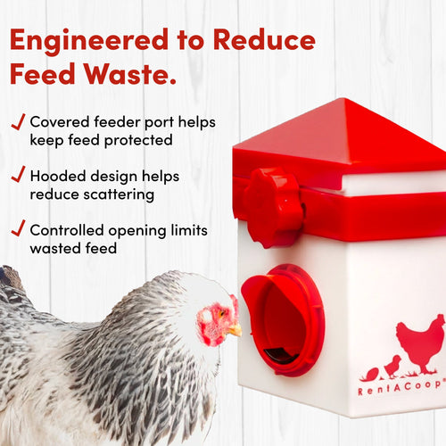 RentACoop Chick2Chicken 2.5lb BPA-Free Single-Port Feeder