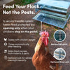 RentACoop 40 lb Automatic Treadle Chicken Feeder
