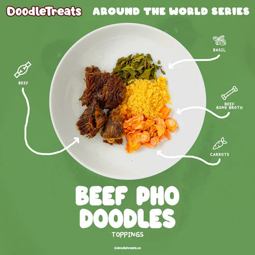 Doodle Treats Beef Pho Doodles for Dogs & Cats