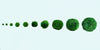 Marimo Moss Ball Aquarium 6-12 Month 0.8-1.5cm Marimo Moss Balls: 5/10/20/50PCS