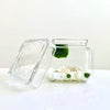 Marimo Moss Ball Aquarium Glass Terrarium Designer 4.5 Home Decor and Office Decor
