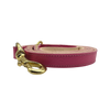Plain Leather Dog Leashes