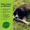 Non Toxic Dog Toy - ECO-FETCHIN' STICK - Eco Friendly